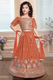 Brown Georgette Lehenga Choli with Net Dupatta