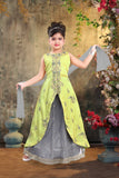 Yellow/Gray Silk Lehenga Choli with Dupatta